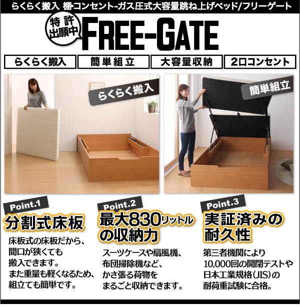 IRZgˏグxbh Free-Gate t[Q[g 摜2