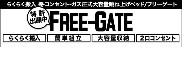 IRZgˏグxbh Free-Gate t[Q[g 摜38